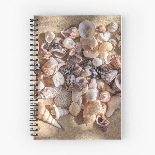 Item preview, Beach Seashells designed and sold by newburyboutique.