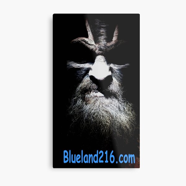 Blueland216 advertisements Metal Print
