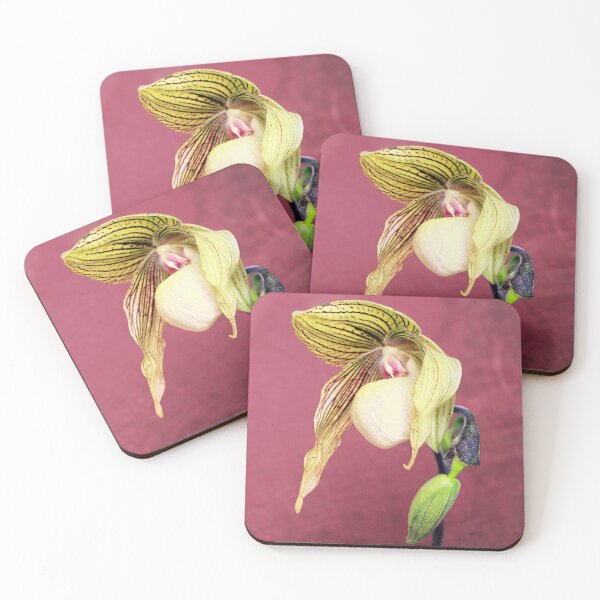 Item preview, Looking A Bit Dog-eared designed and sold by Michael May.