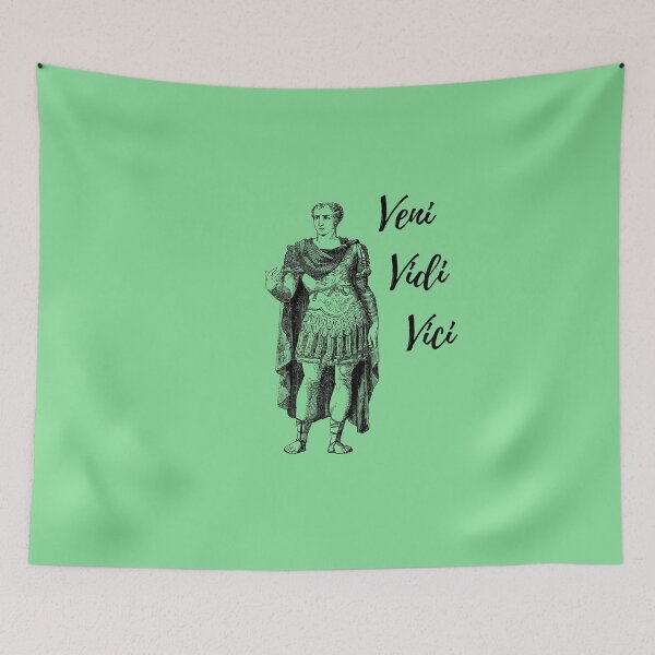 Item preview, Veni Vidi Vici! designed and sold by Byoudesigns.