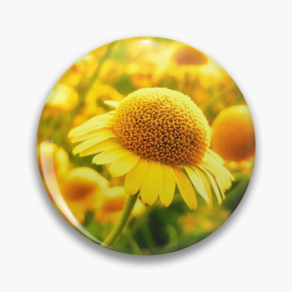 Item preview, Marguerite Daisies designed and sold by colorfulbundles.