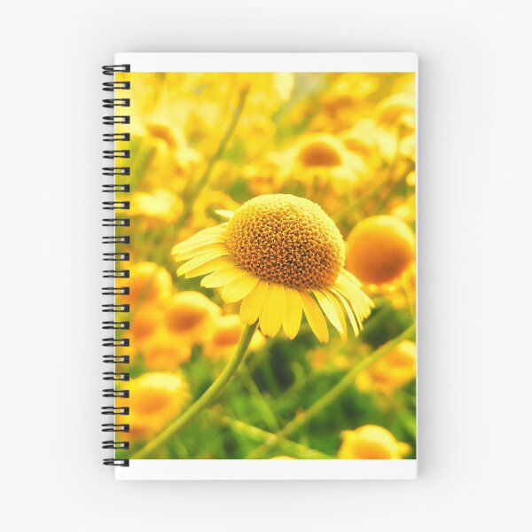 Item preview, Marguerite Daisies designed and sold by colorfulbundles.