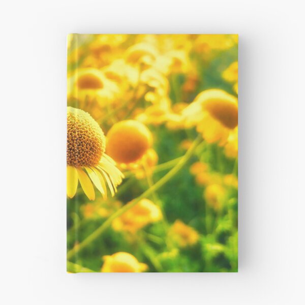 Item preview, Marguerite Daisies designed and sold by colorfulbundles.