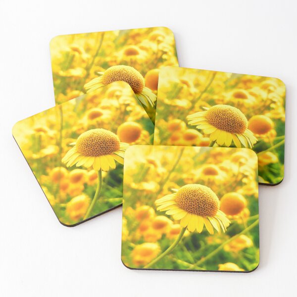 Item preview, Marguerite Daisies designed and sold by colorfulbundles.