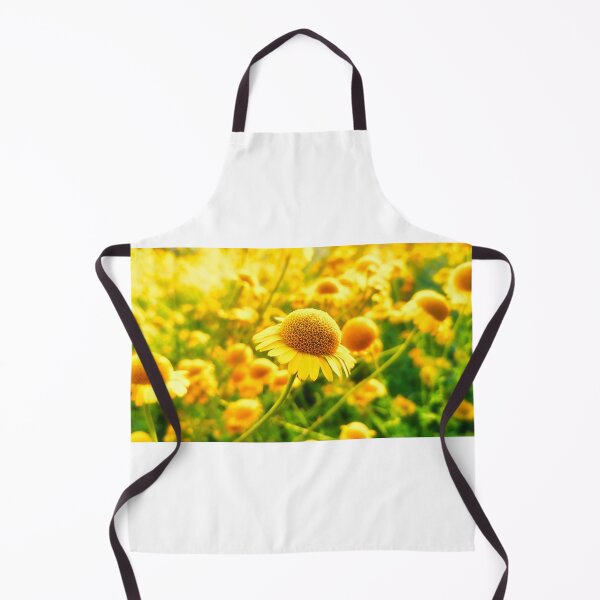 Item preview, Marguerite Daisies designed and sold by colorfulbundles.