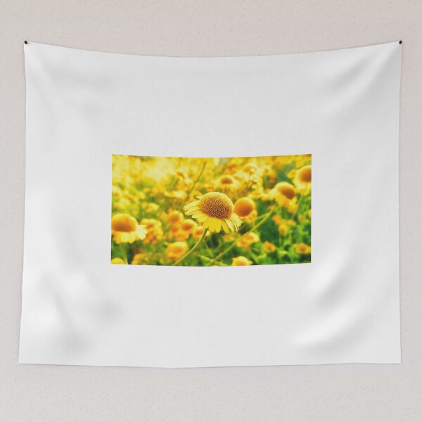Item preview, Marguerite Daisies designed and sold by colorfulbundles.