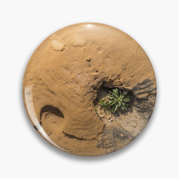 Item preview, Life on Bare Rock - Delicate Plants on Rough Limestone designed and sold by Georgia Mizuleva.