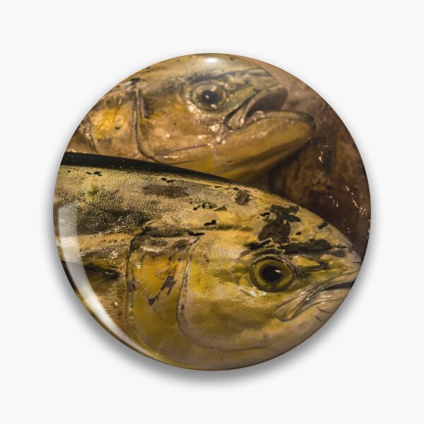 Item preview, Freshly Caught Mahimahi at the Market designed and sold by Georgia Mizuleva.