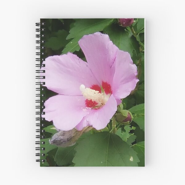 Item preview, Pink Rose of Sharon  designed and sold by Huppielu.