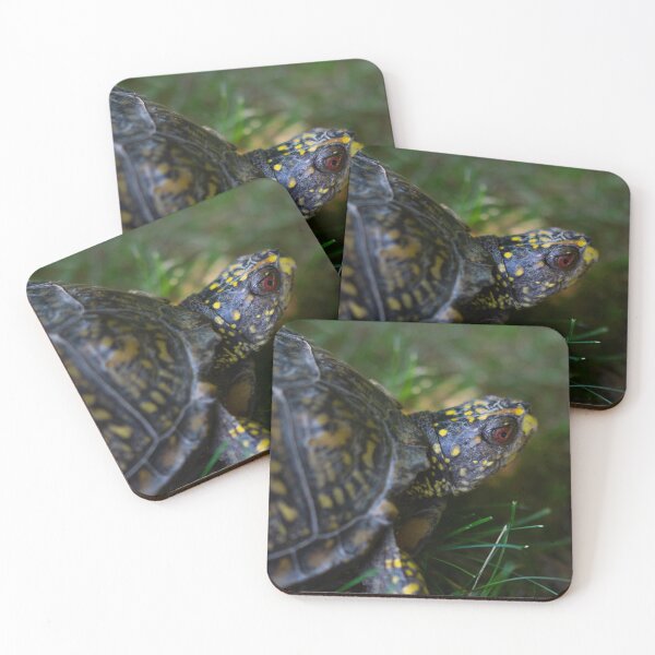 Item preview, box turtle designed and sold by ccorrigan1.