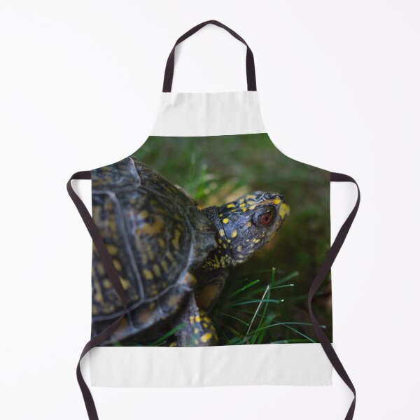 Item preview, box turtle designed and sold by ccorrigan1.