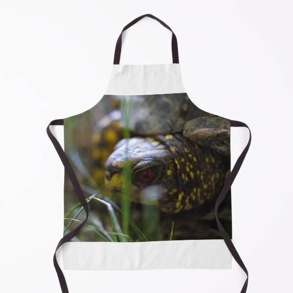 Item preview, box turtle designed and sold by ccorrigan1.