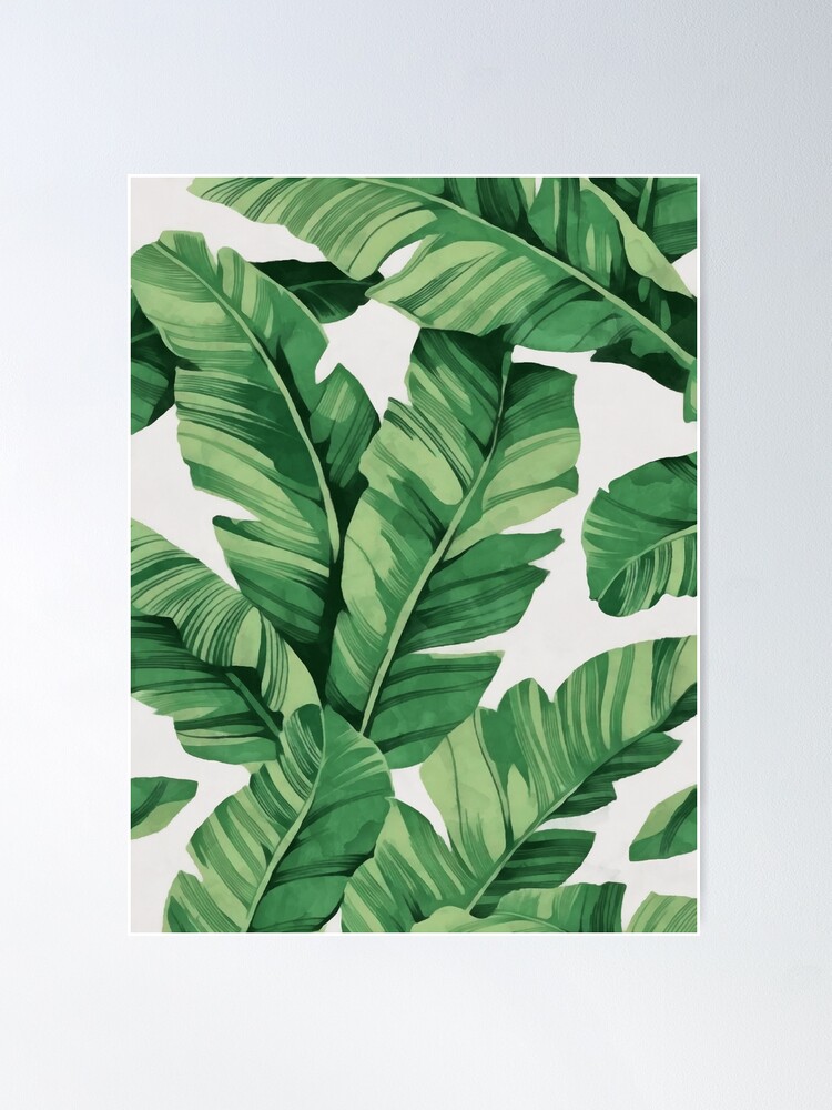 Alternate view of Tropical banana leaves Poster