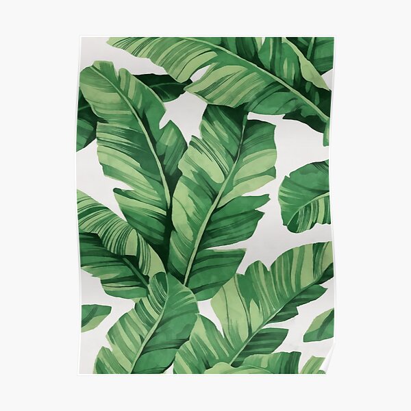 Tropical banana leaves Poster
