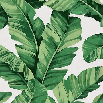 Artwork thumbnail, Tropical banana leaves by CatyArte