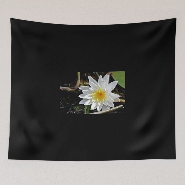 Item preview, Fragrant Water Lily V designed and sold by Kathleen Daley.