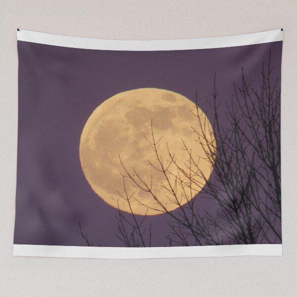 Item preview, Shades of Death Full Moon with Tree designed and sold by HallowedElement.