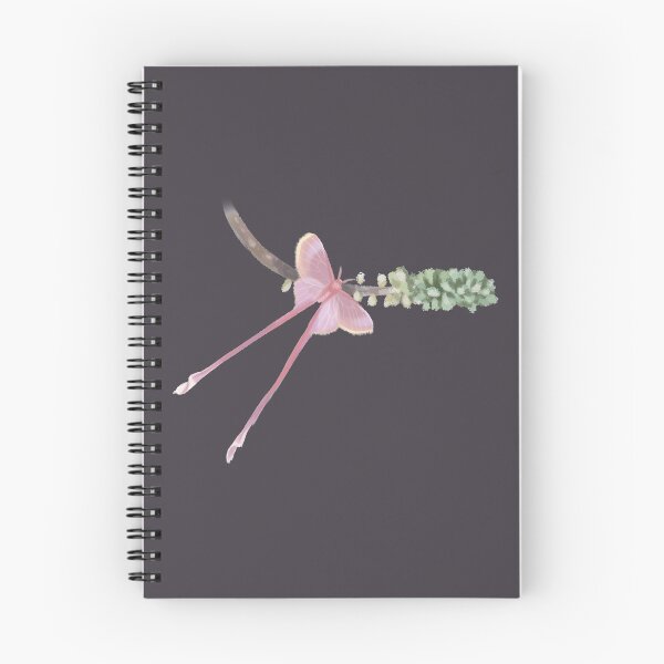 Item preview, Pink silk moth designed and sold by Amber LuvsBugs.
