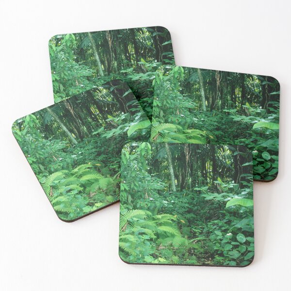Item preview, Lush Rainforest Jungle Adventure Trek In Costa Rica designed and sold by DEC02.