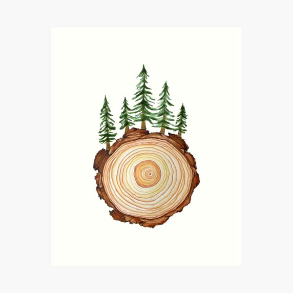 Wisewood Redwood Tree Nature Art Print