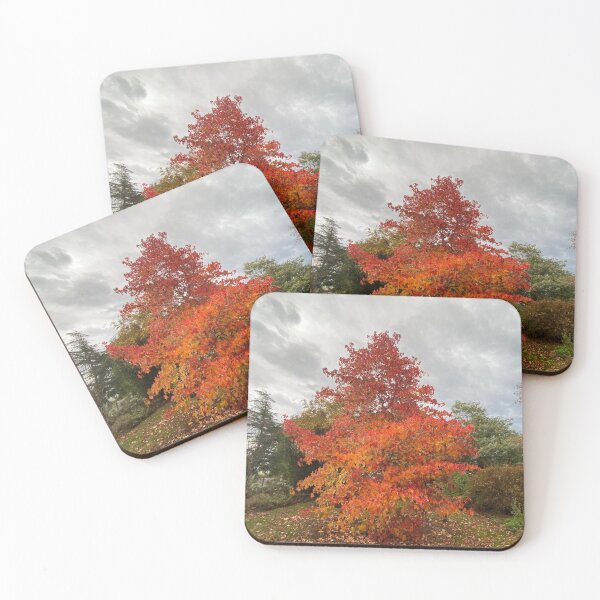 Item preview, Autumn Joy designed and sold by Tammie  Sharp.