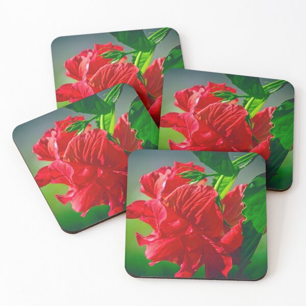 Aperçu de l'œuvre Hibiscus Rose de Sharon créée et vendue par Thymely.