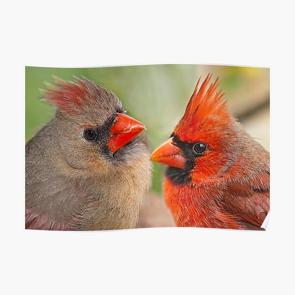 Mates for Life Poster