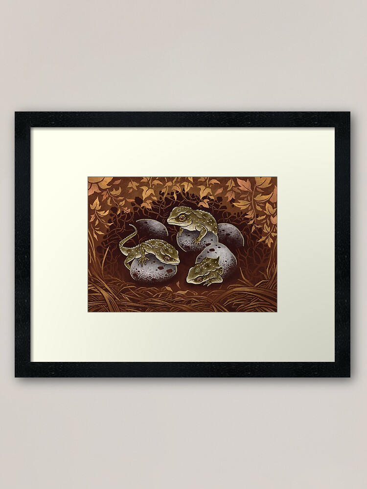 Alternate view of Tuatara: the three-eyed baby dragon of New Zealand Framed Art Print