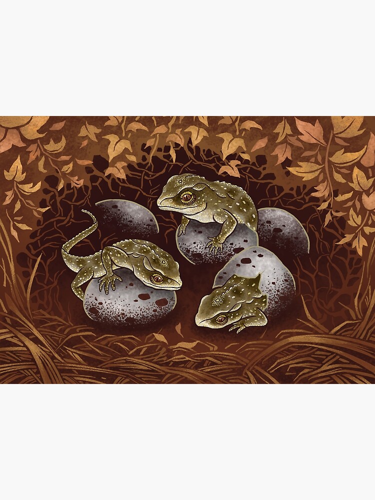 Tuatara: the three-eyed baby dragon of New Zealand by franzanth