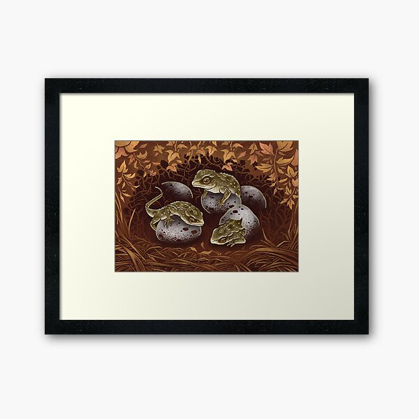 Tuatara: the three-eyed baby dragon of New Zealand Framed Art Print