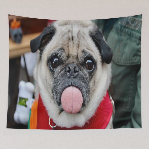 Item preview, Doguillo designed and sold by oxyten.
