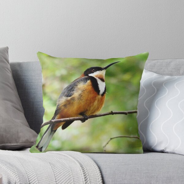 Item preview, Young Eastern Spinebill designed and sold by Meg Hart.