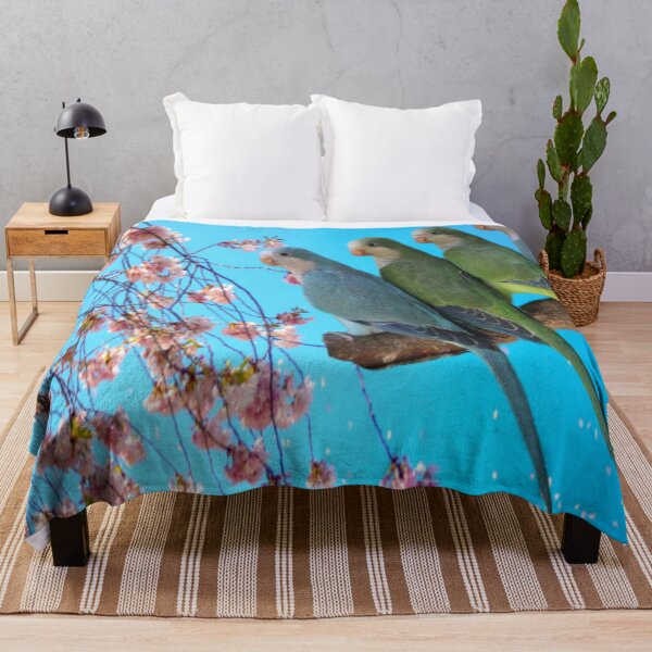 Item preview, Monk Parakeet designed and sold by oxyten.