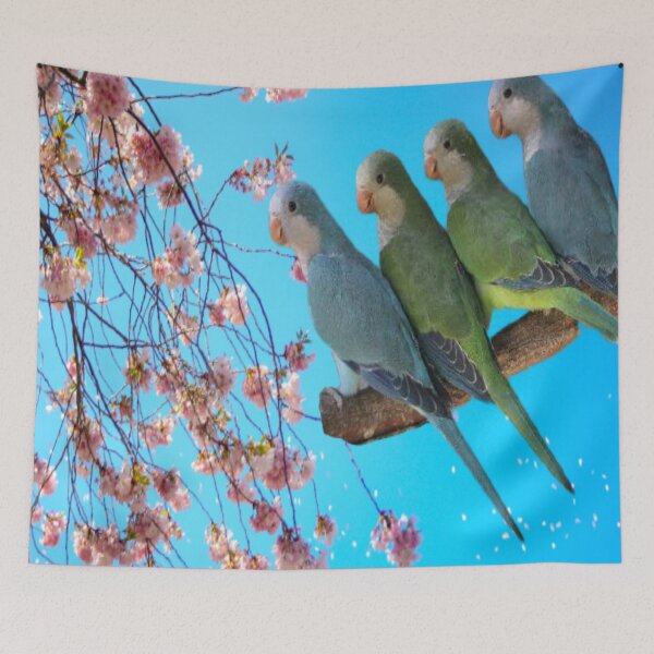 Item preview, Monk Parakeet designed and sold by oxyten.