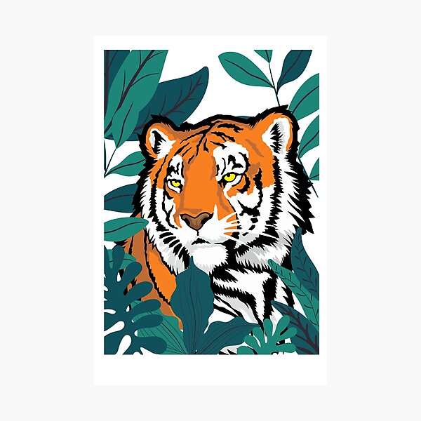 wild bengal tiger line art pattern design  Photographic Print for Sale by  Janckevannwyk