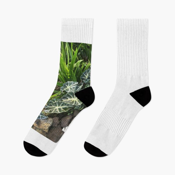 Item preview, Green Leaf Anthurium  designed and sold by Cheryl Camacho.