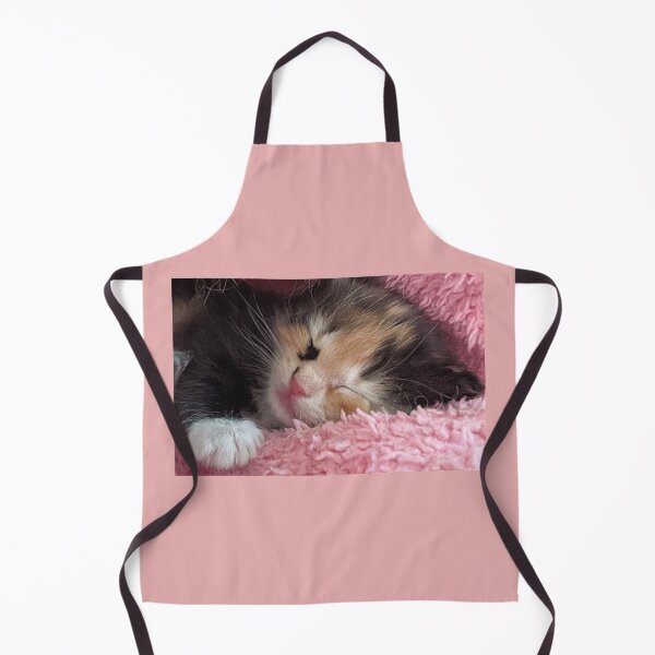 Item preview, Ragdoll mainecoon kitty designed and sold by Fluffycat2020.