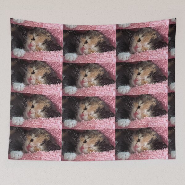 Item preview, Ragdoll mainecoon kitty designed and sold by Fluffycat2020.
