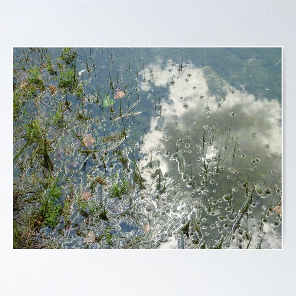 Item preview, Pond's Edge Reflections  designed and sold by clizzio.