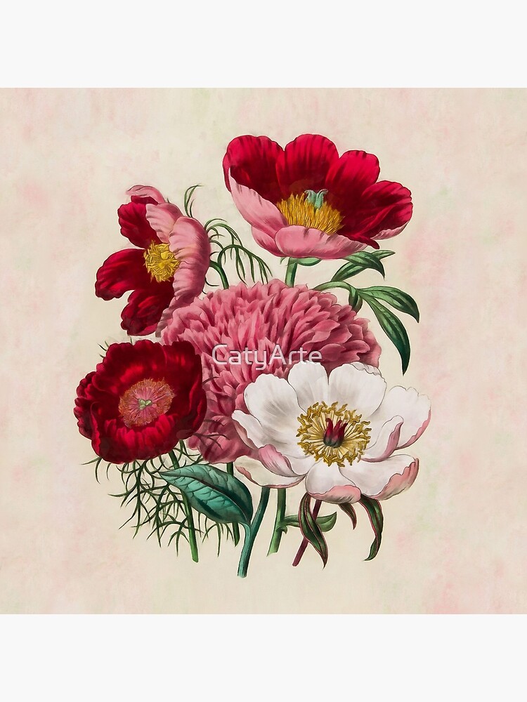 Flower garden by CatyArte