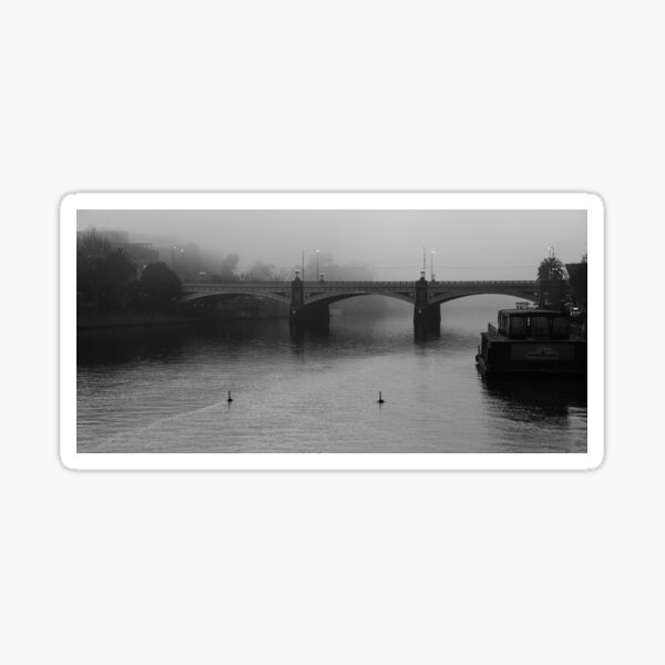 The Swans of Southbank Sticker