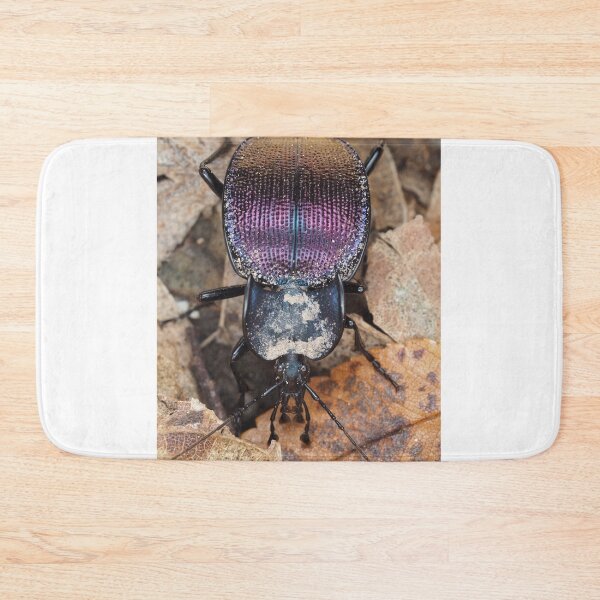 Item preview, Iridescent ground beetle, possibly Scaphinotus sp. designed and sold by SDym Photography.