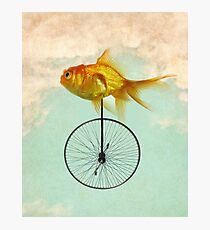 Lámina fotográfica monociclo goldfish