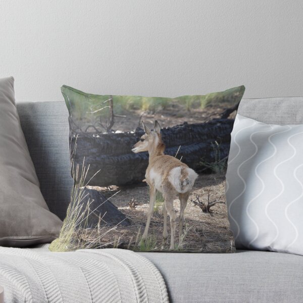 Item preview, Baby Pronghorn Antelope  designed and sold by clizzio.
