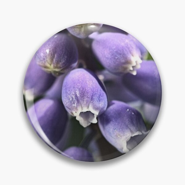 Item preview, Shine on Spring designed and sold by Joy Watson - Natural Light Photography .