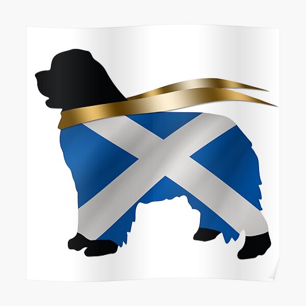 Scotland Newfoundland Poster