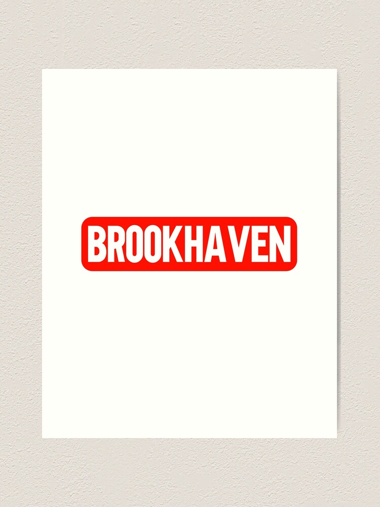  Brookhaven Mississippi Souvenir Vinyl Decal Sticker