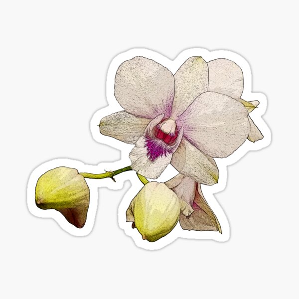 Item preview, Blooming orchid. designed and sold by PumNin.
