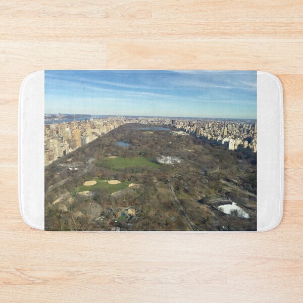 Item preview, Views from a Penthouse over looking Center Park designed and sold by BraxMentong.