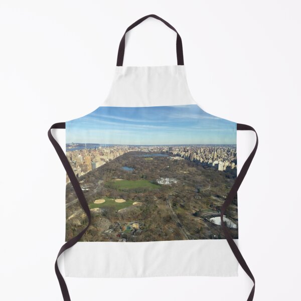 Item preview, Views from a Penthouse over looking Center Park designed and sold by BraxMentong.
